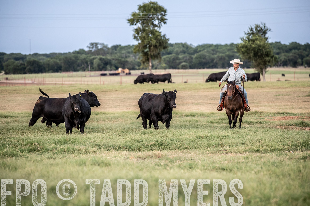 TMyers_44Farms_June2018-1287