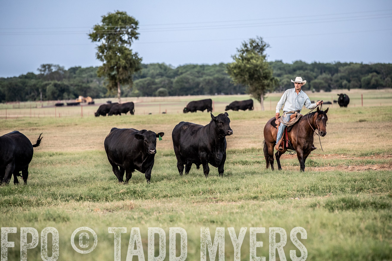 TMyers_44Farms_June2018-1293