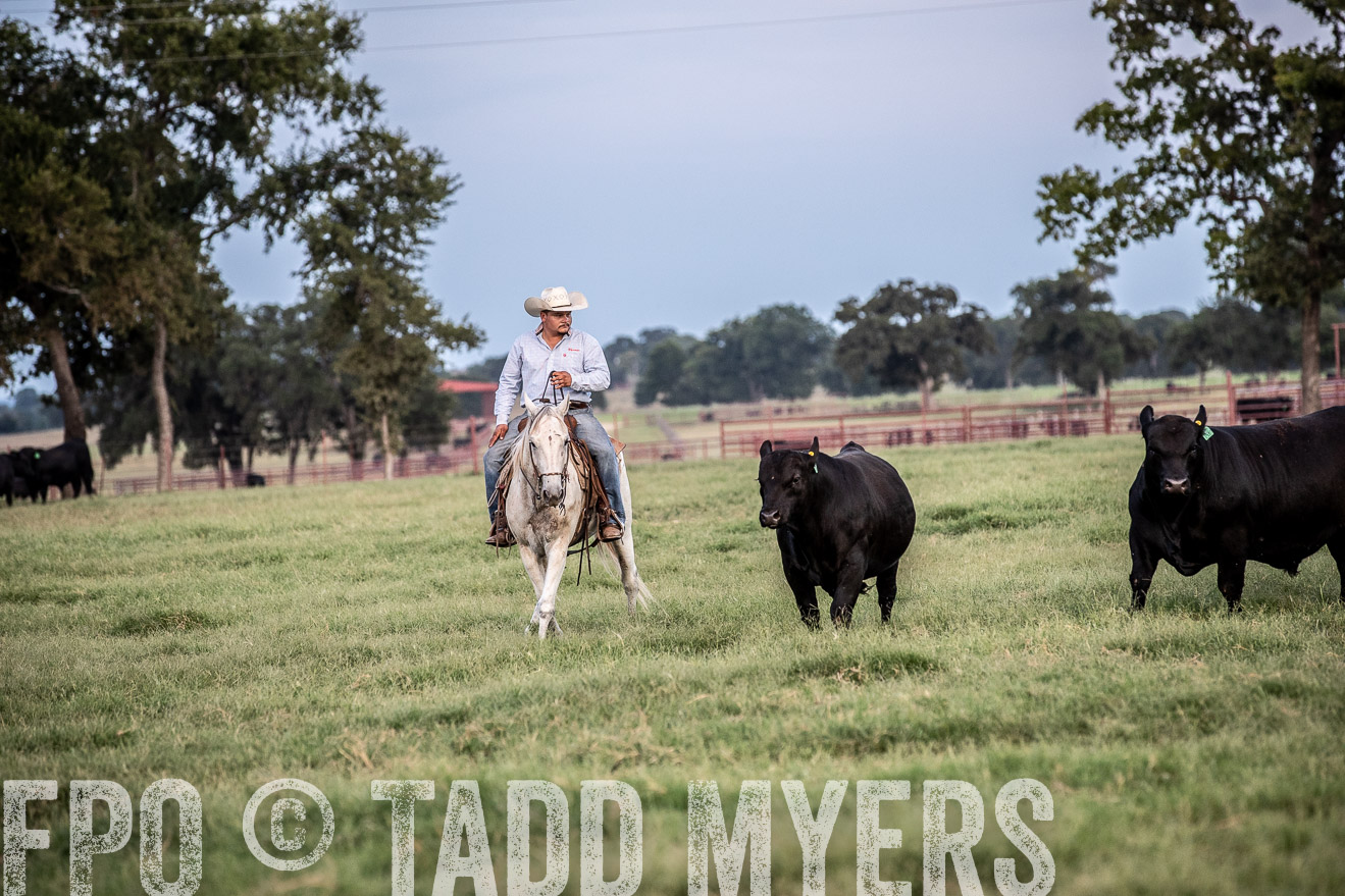 TMyers_44Farms_June2018-1335