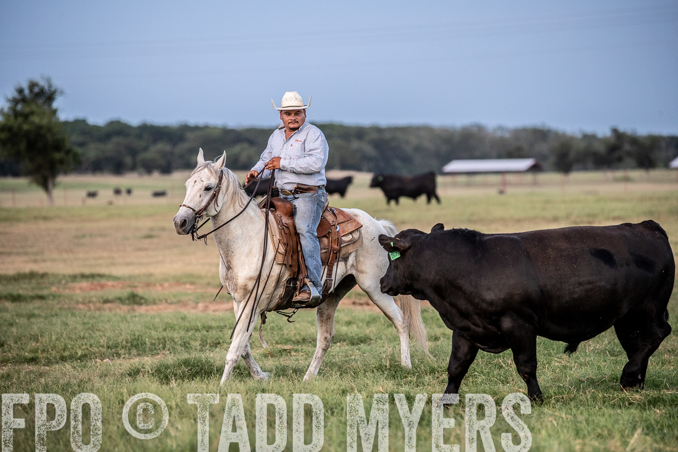 TMyers_44Farms_June2018-1355