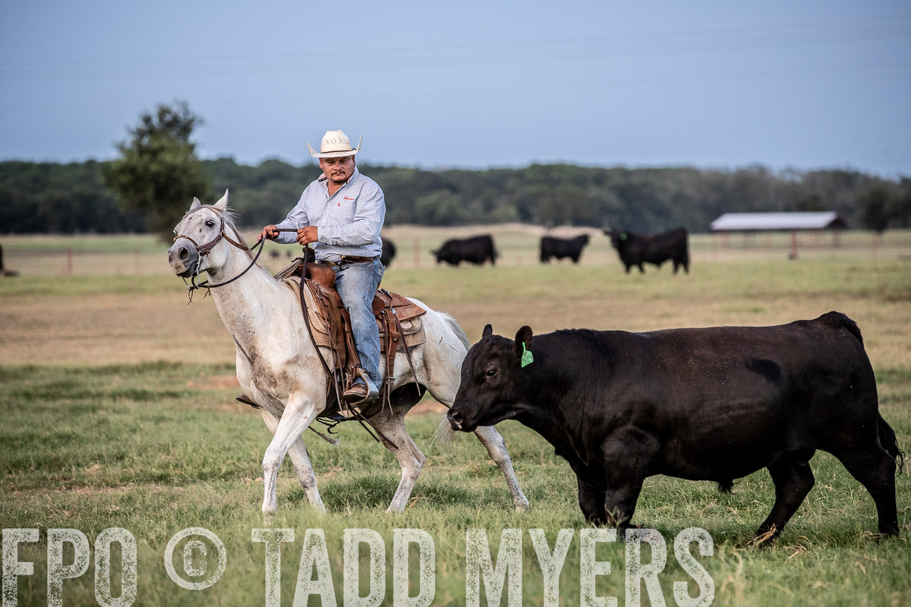 TMyers_44Farms_June2018-1357