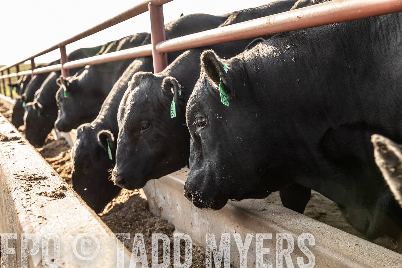 TMyers_44Farms_June2018-2456