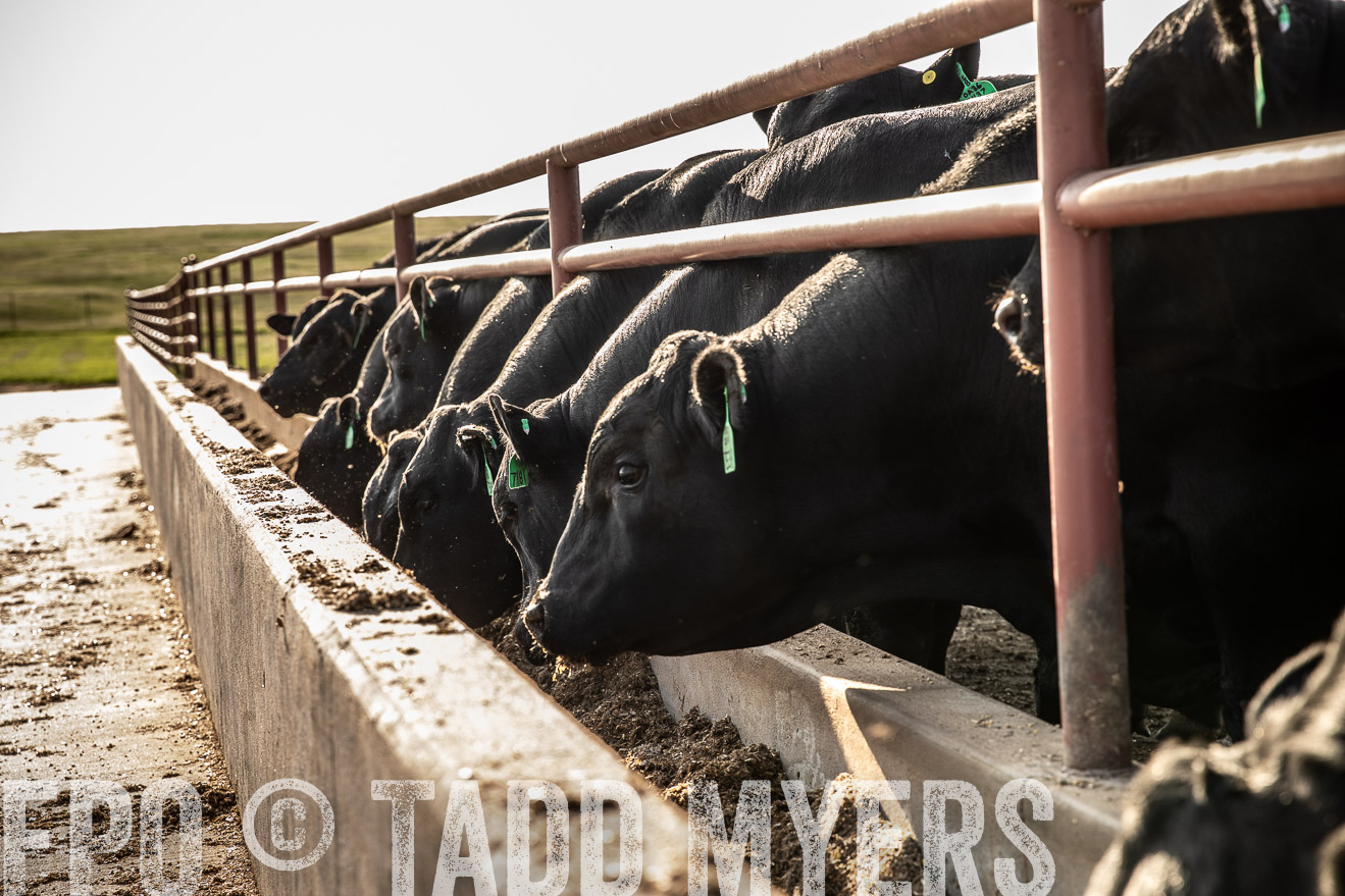 TMyers_44Farms_June2018-2475