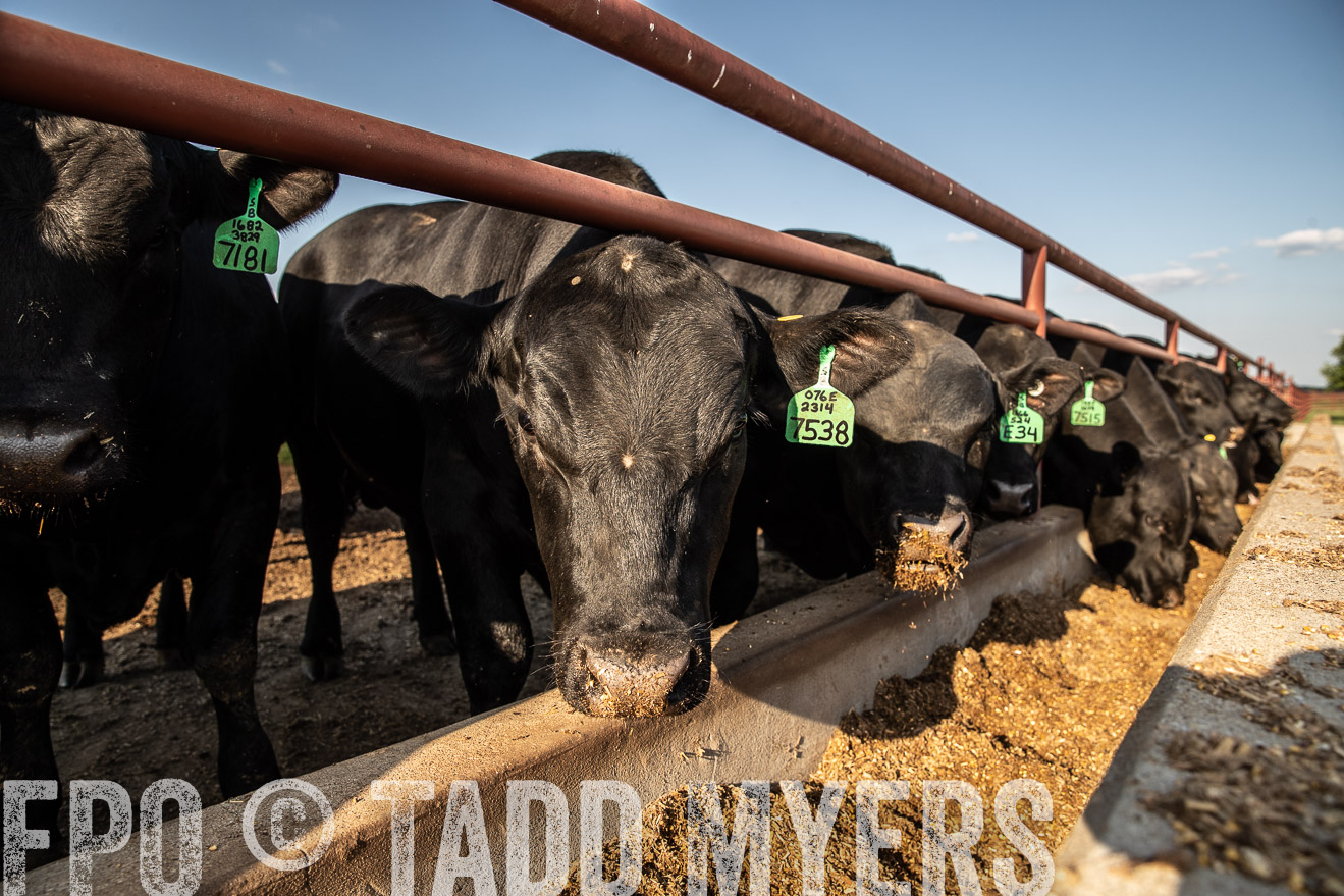 TMyers_44Farms_June2018-2511