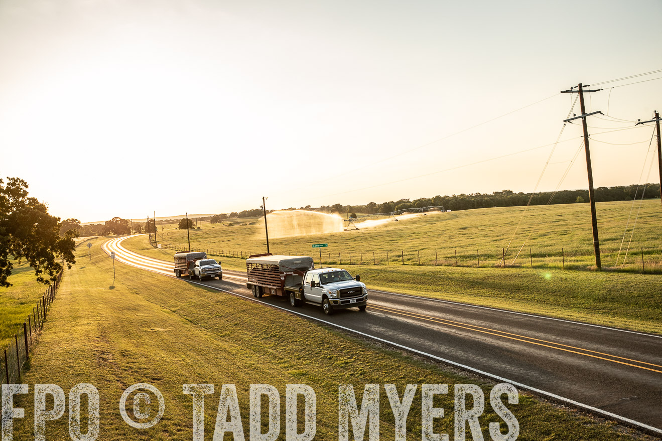 TMyers_44Farms_June2018-2849