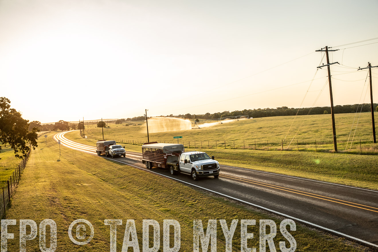 TMyers_44Farms_June2018-2851