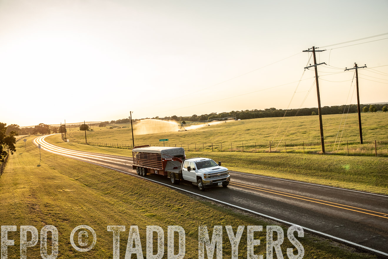 TMyers_44Farms_June2018-2896