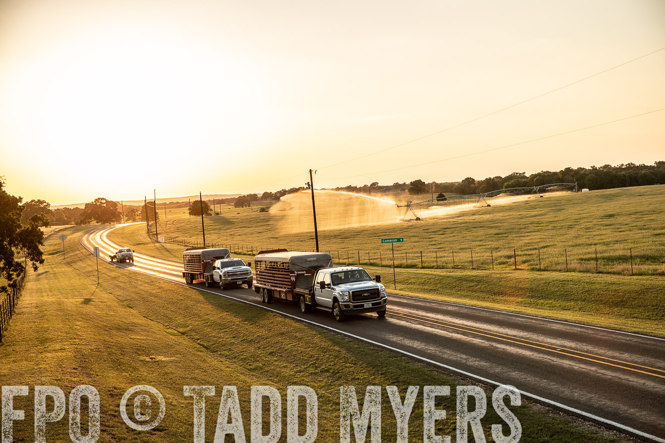 TMyers_44Farms_June2018-2951
