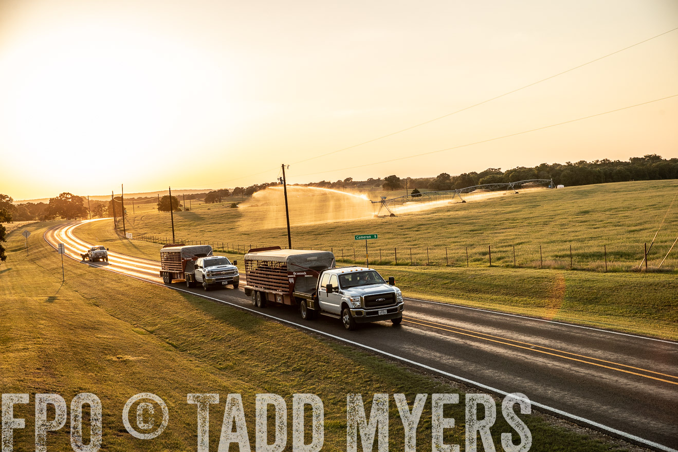 TMyers_44Farms_June2018-2956