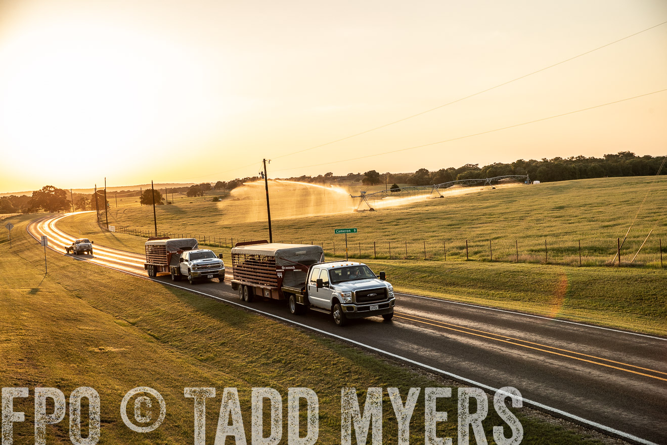 TMyers_44Farms_June2018-2958