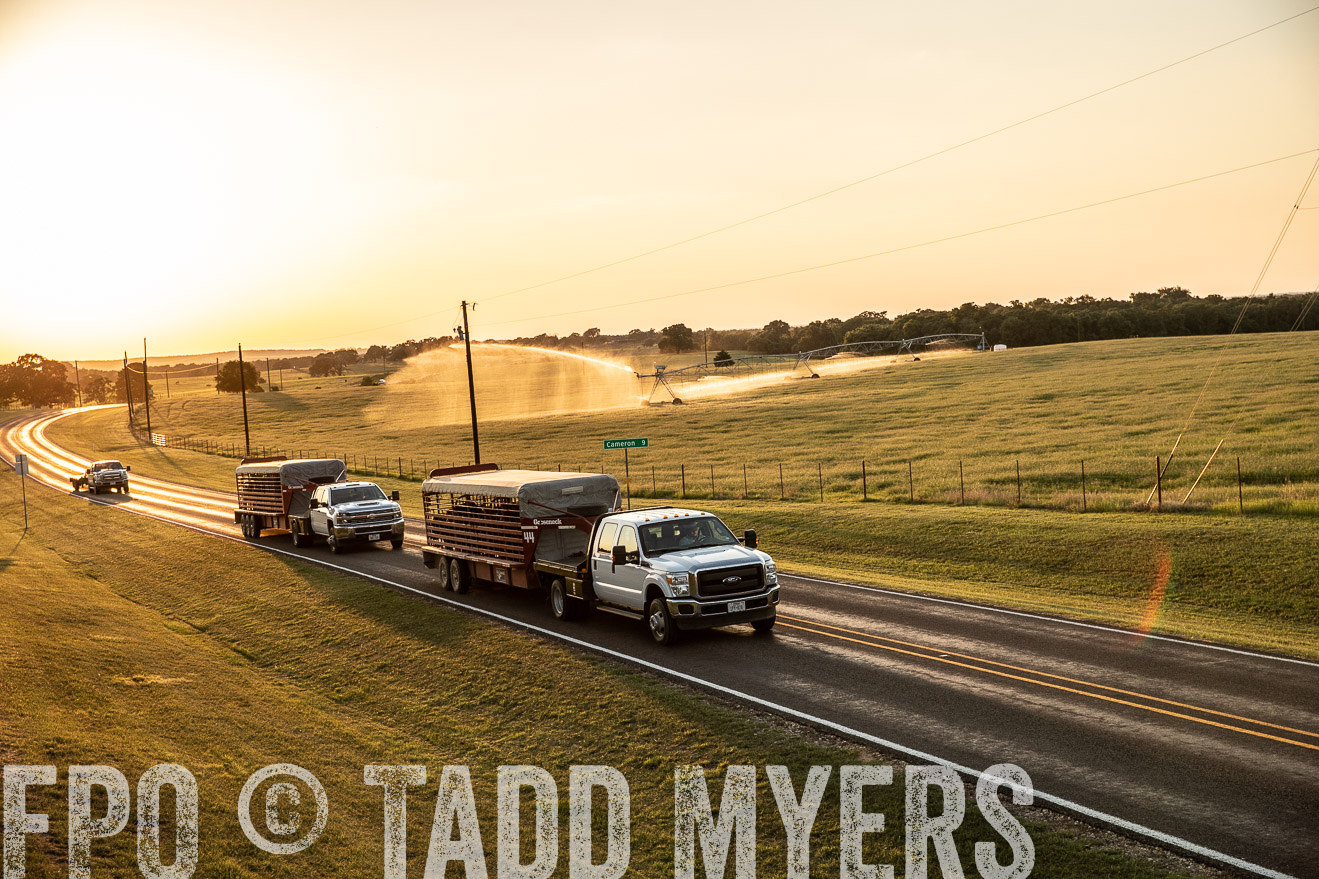 TMyers_44Farms_June2018-2962
