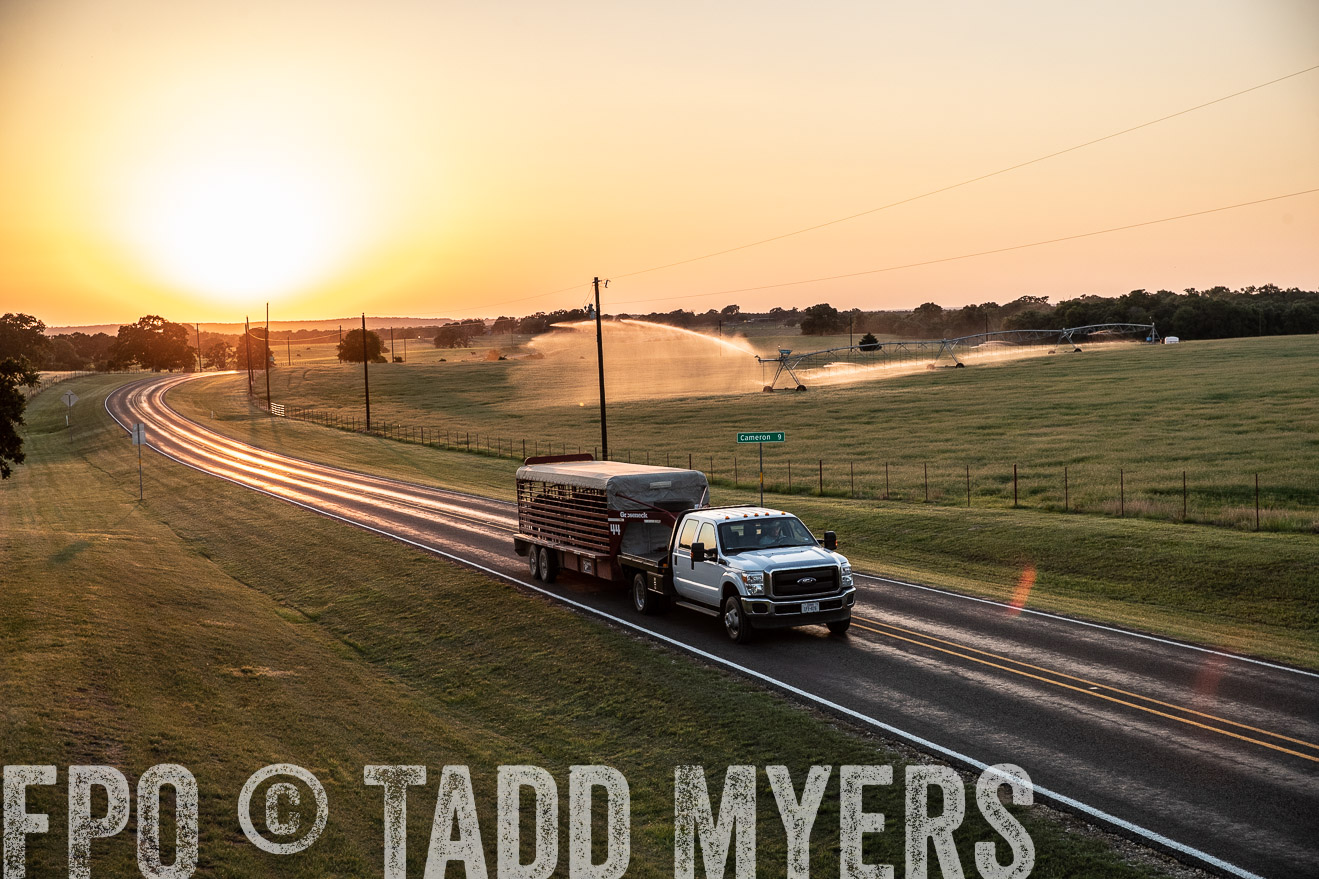 TMyers_44Farms_June2018-3124