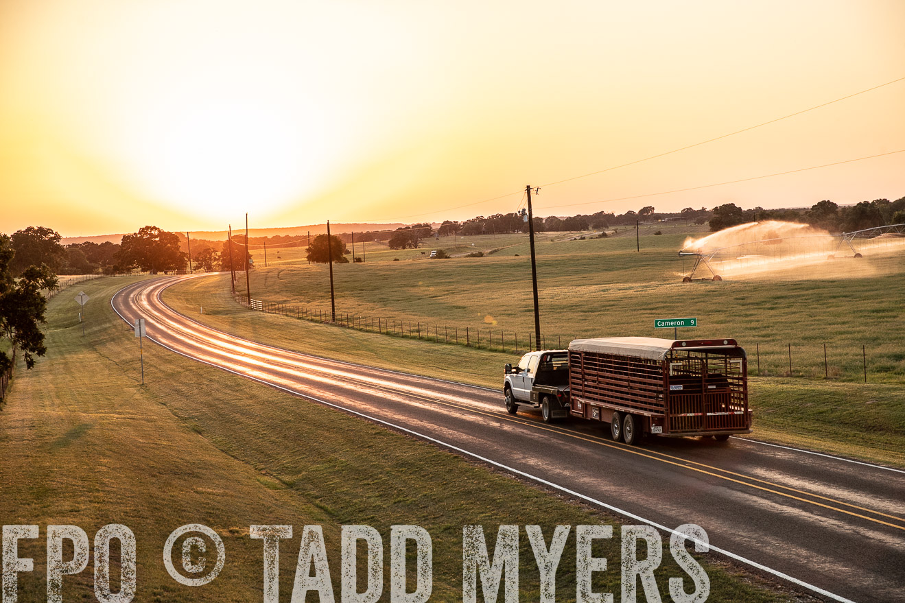 TMyers_44Farms_June2018-3169