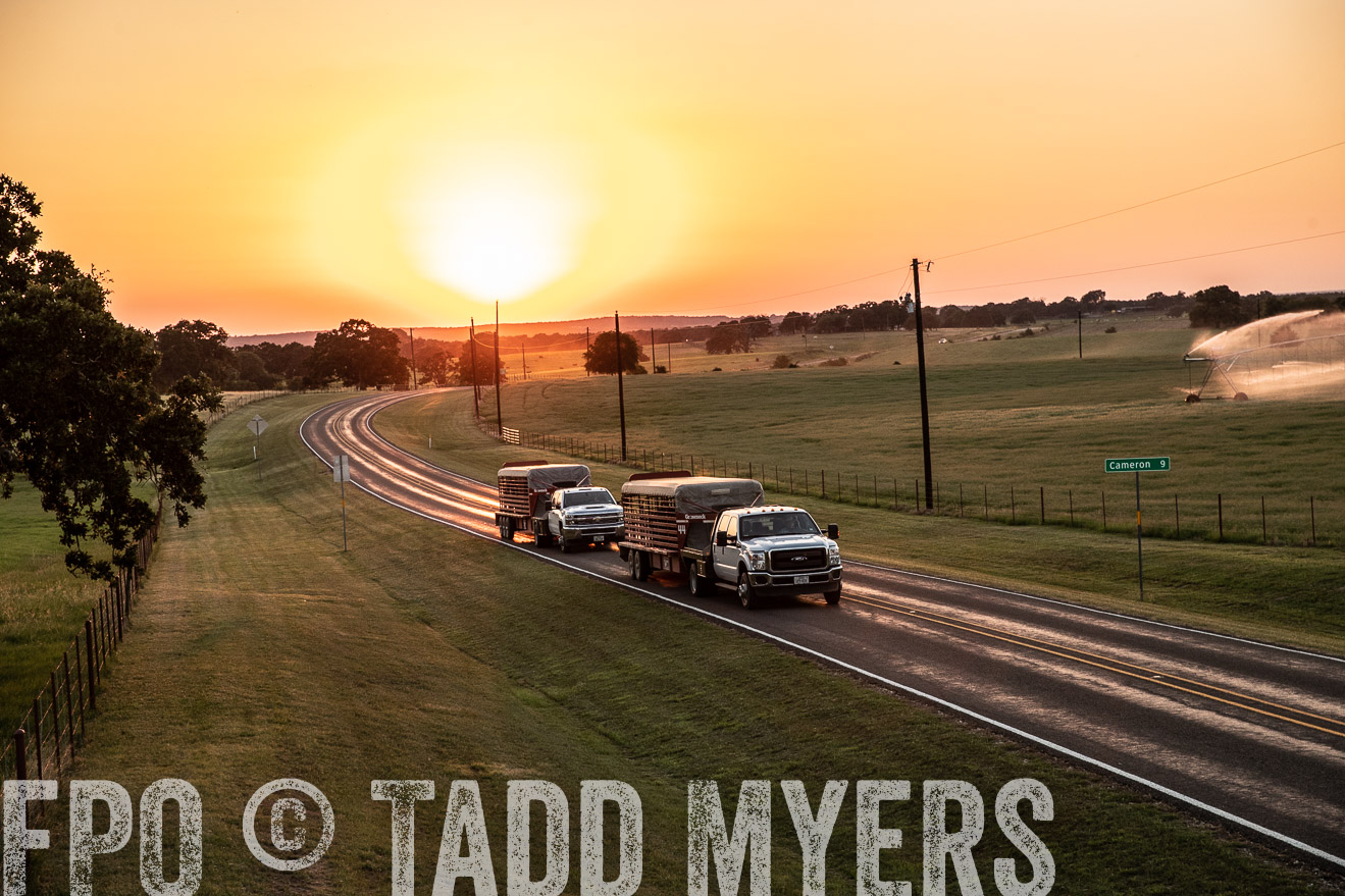 TMyers_44Farms_June2018-3222