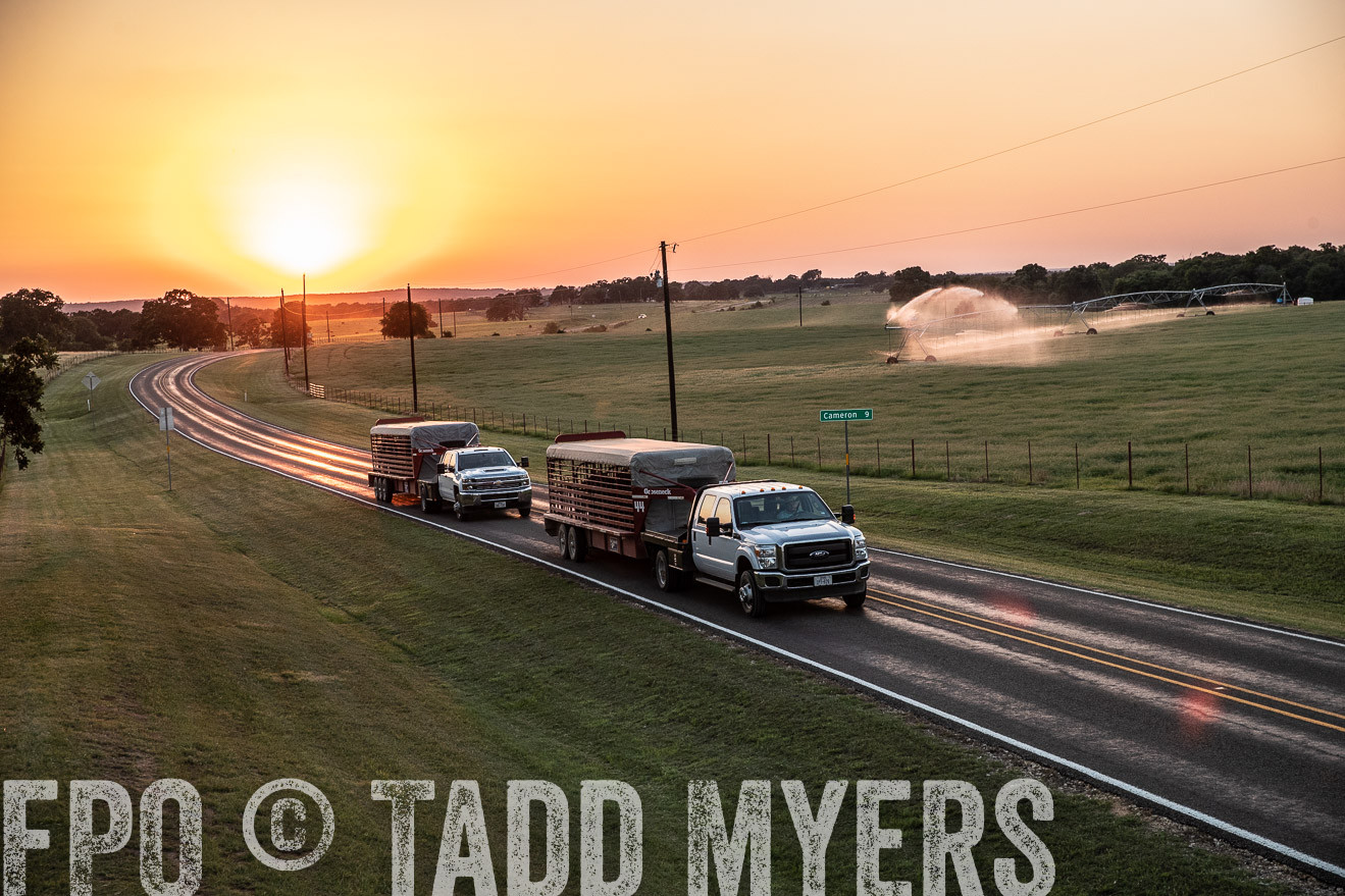 TMyers_44Farms_June2018-3241
