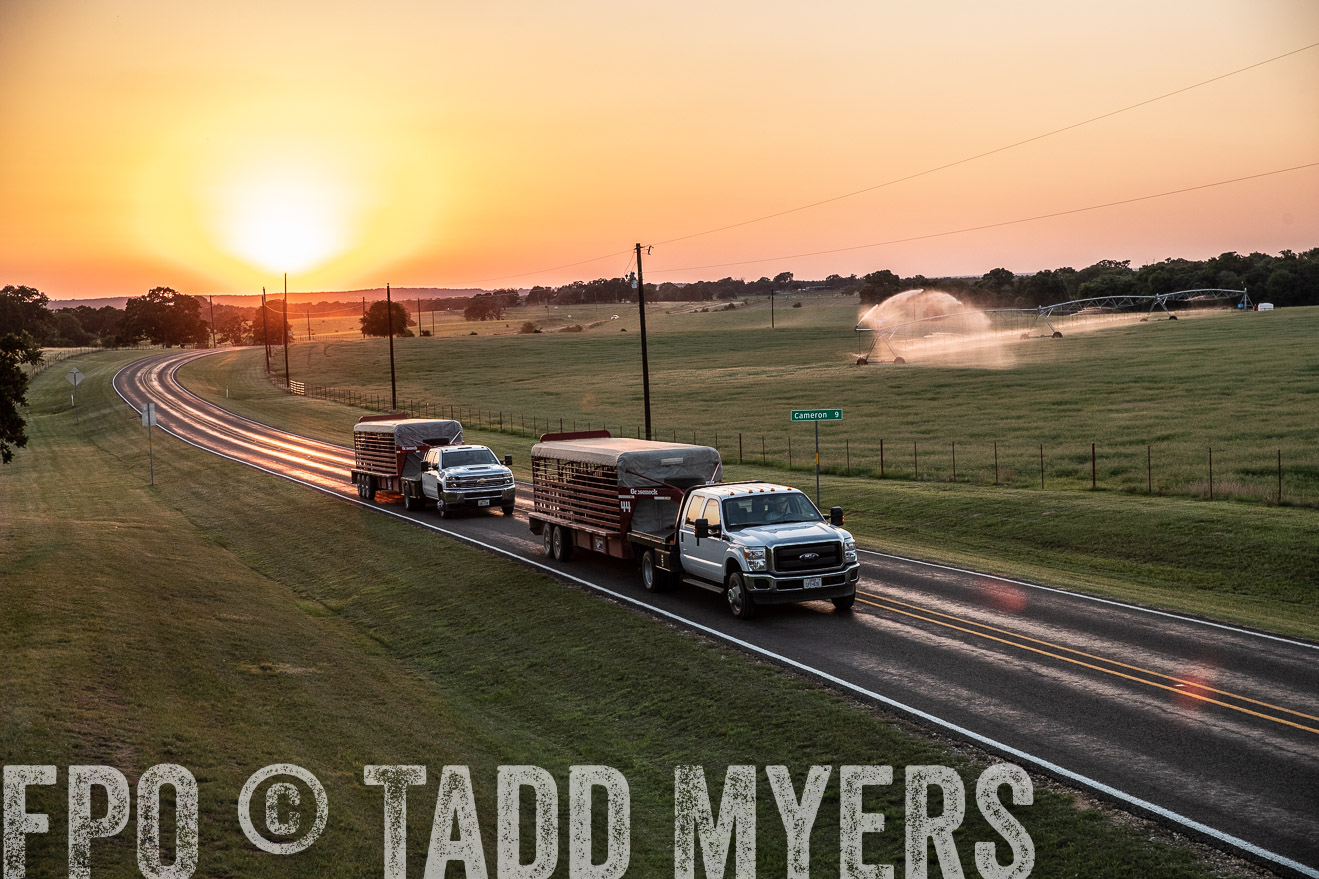 TMyers_44Farms_June2018-3243