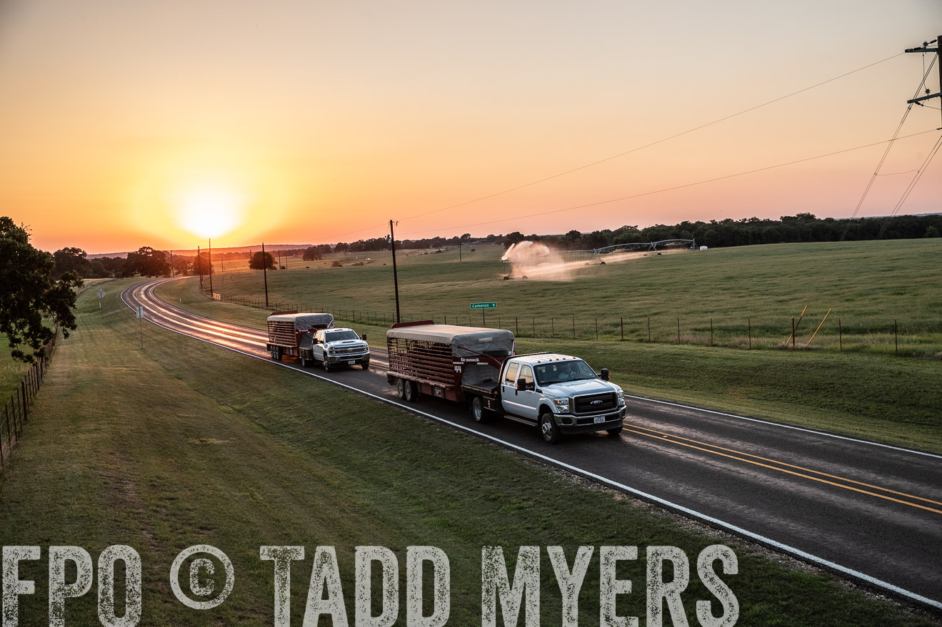 TMyers_44Farms_June2018-3258