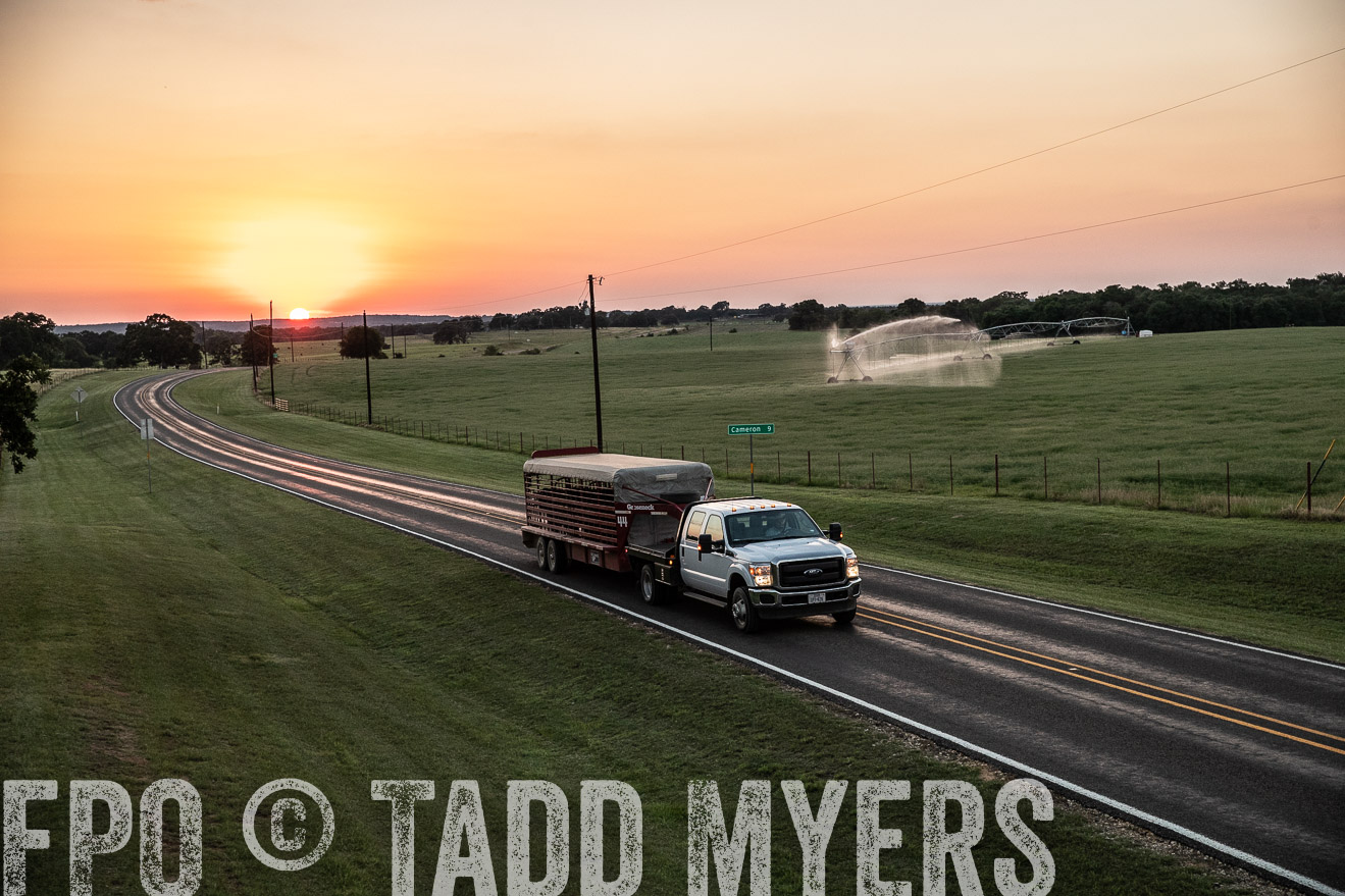 TMyers_44Farms_June2018-3337