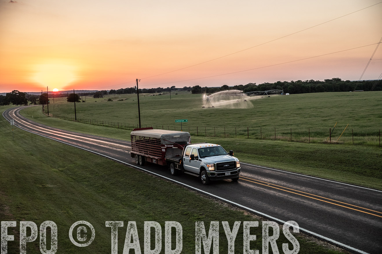 TMyers_44Farms_June2018-3345
