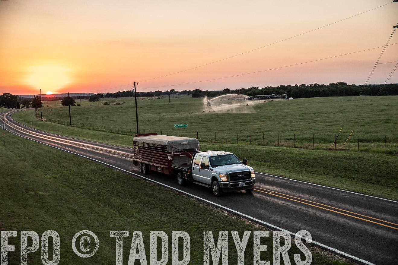 TMyers_44Farms_June2018-3348