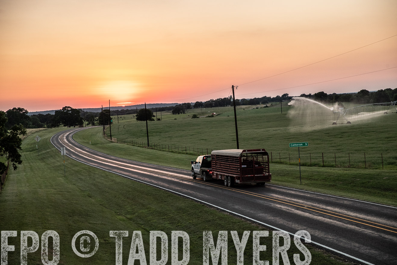TMyers_44Farms_June2018-3375
