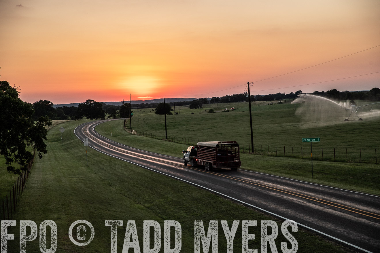 TMyers_44Farms_June2018-3383
