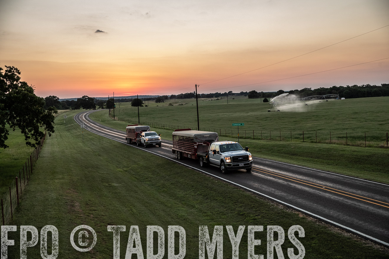 TMyers_44Farms_June2018-3450