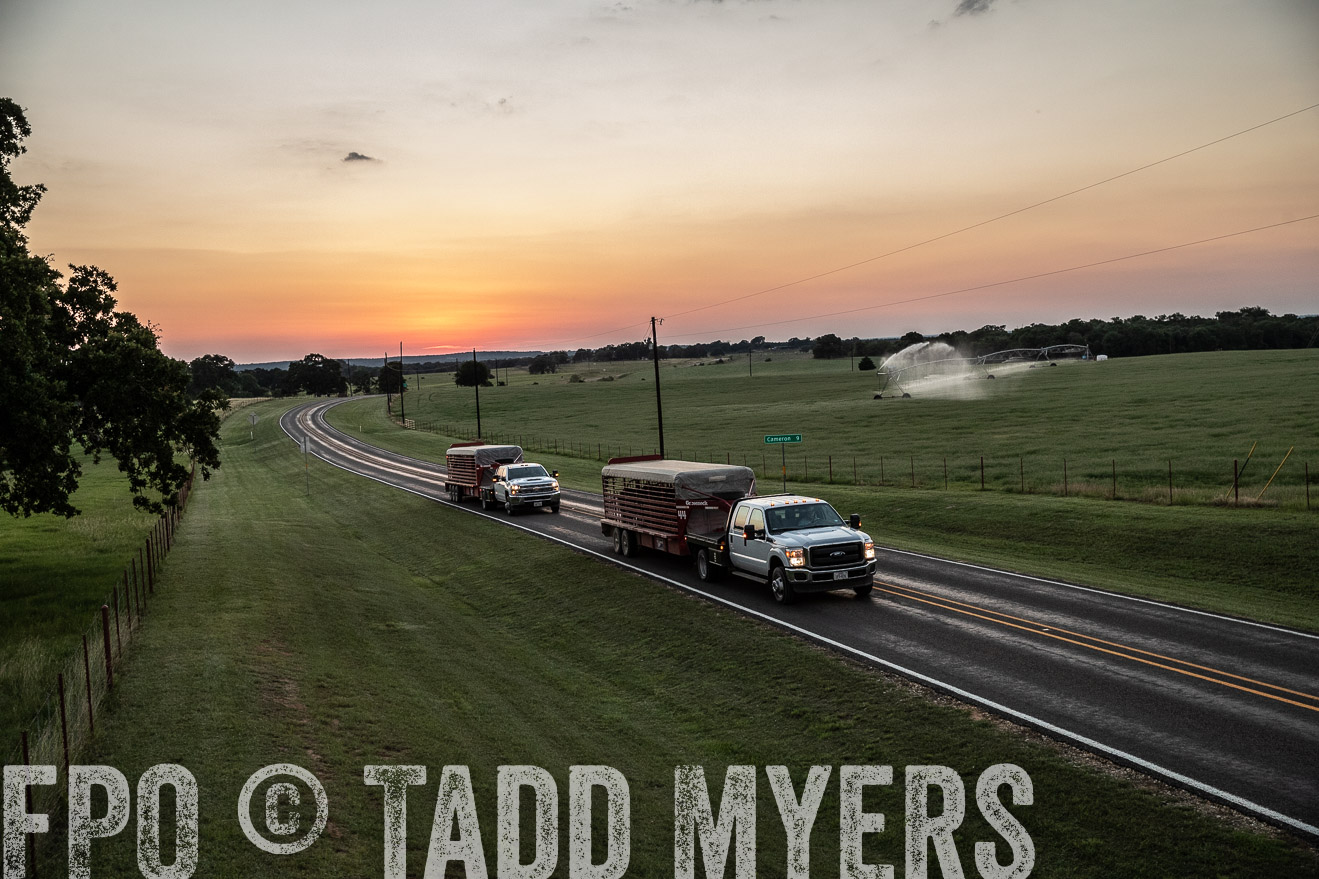 TMyers_44Farms_June2018-3453