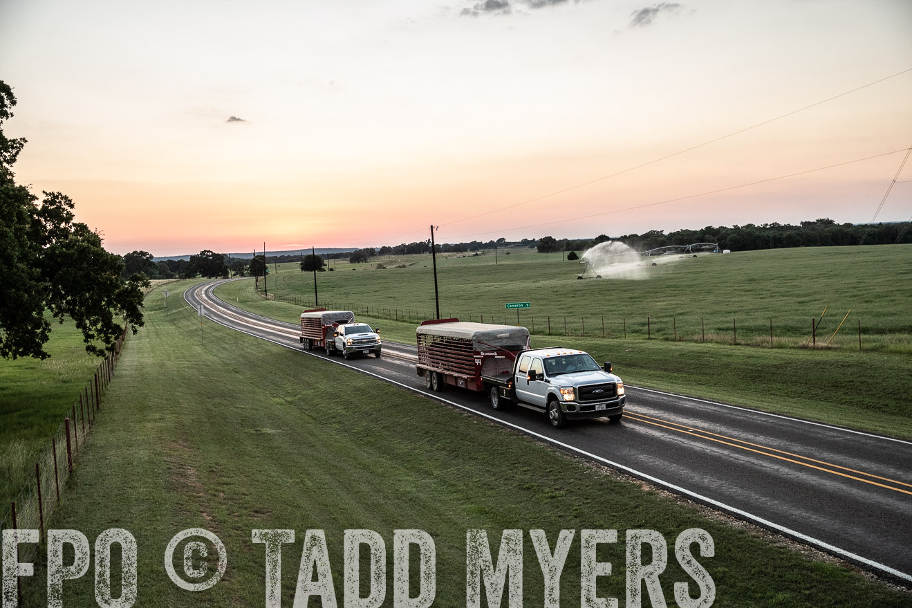 TMyers_44Farms_June2018-3460