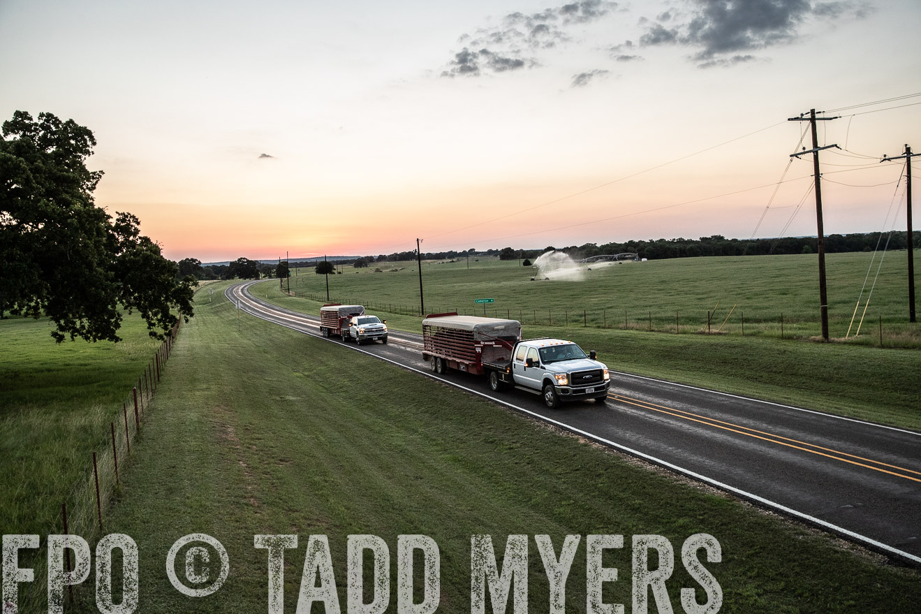 TMyers_44Farms_June2018-3464