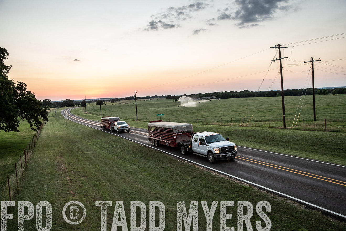 TMyers_44Farms_June2018-3471
