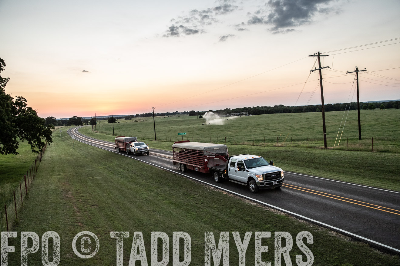 TMyers_44Farms_June2018-3474