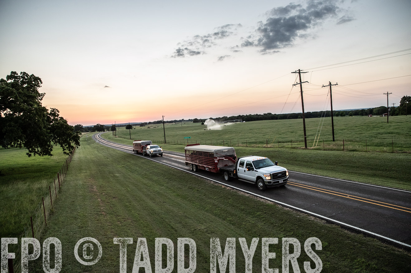 TMyers_44Farms_June2018-3478