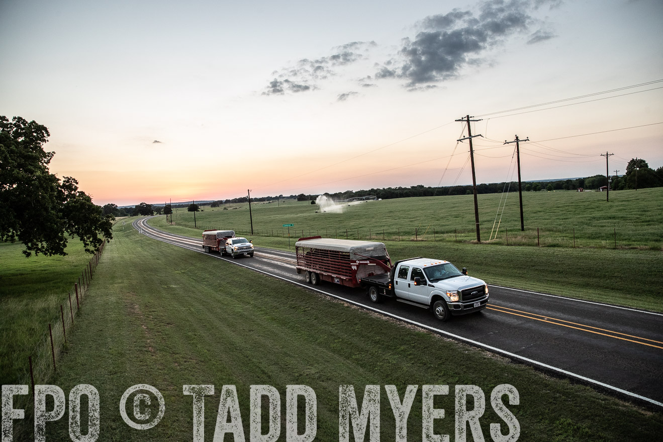 TMyers_44Farms_June2018-3480