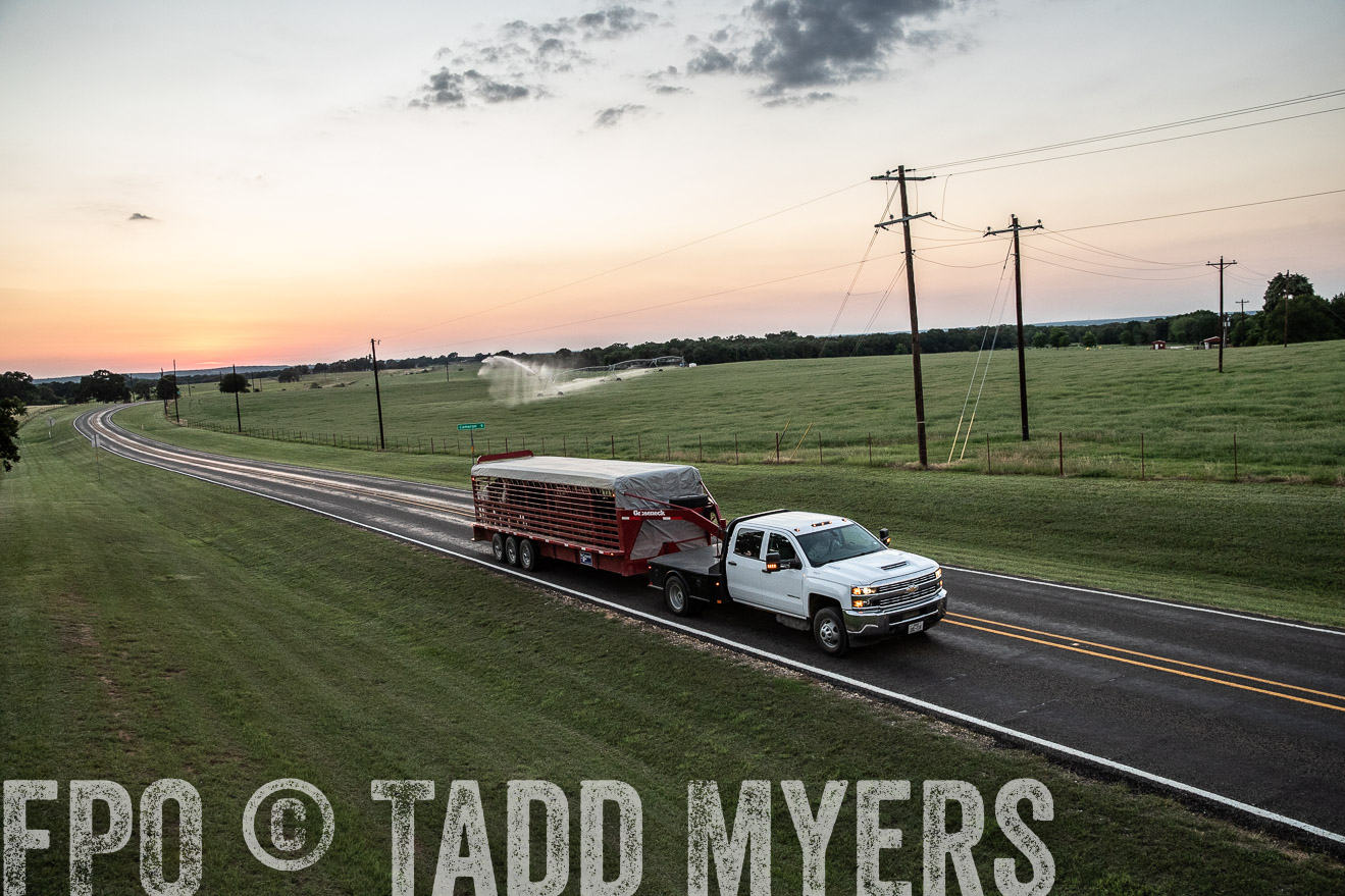 TMyers_44Farms_June2018-3491
