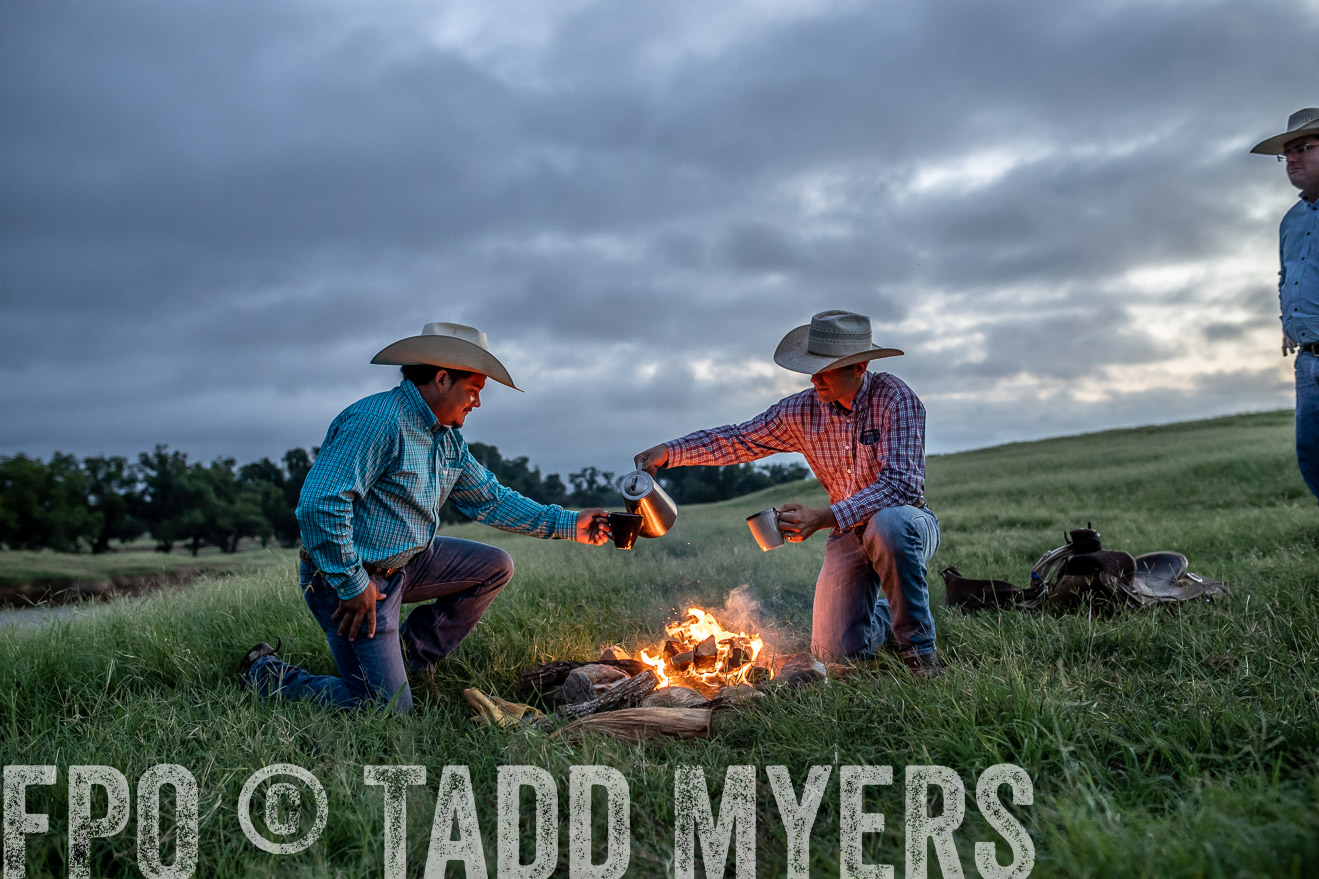 TMyers_44Farms_June2018-3704
