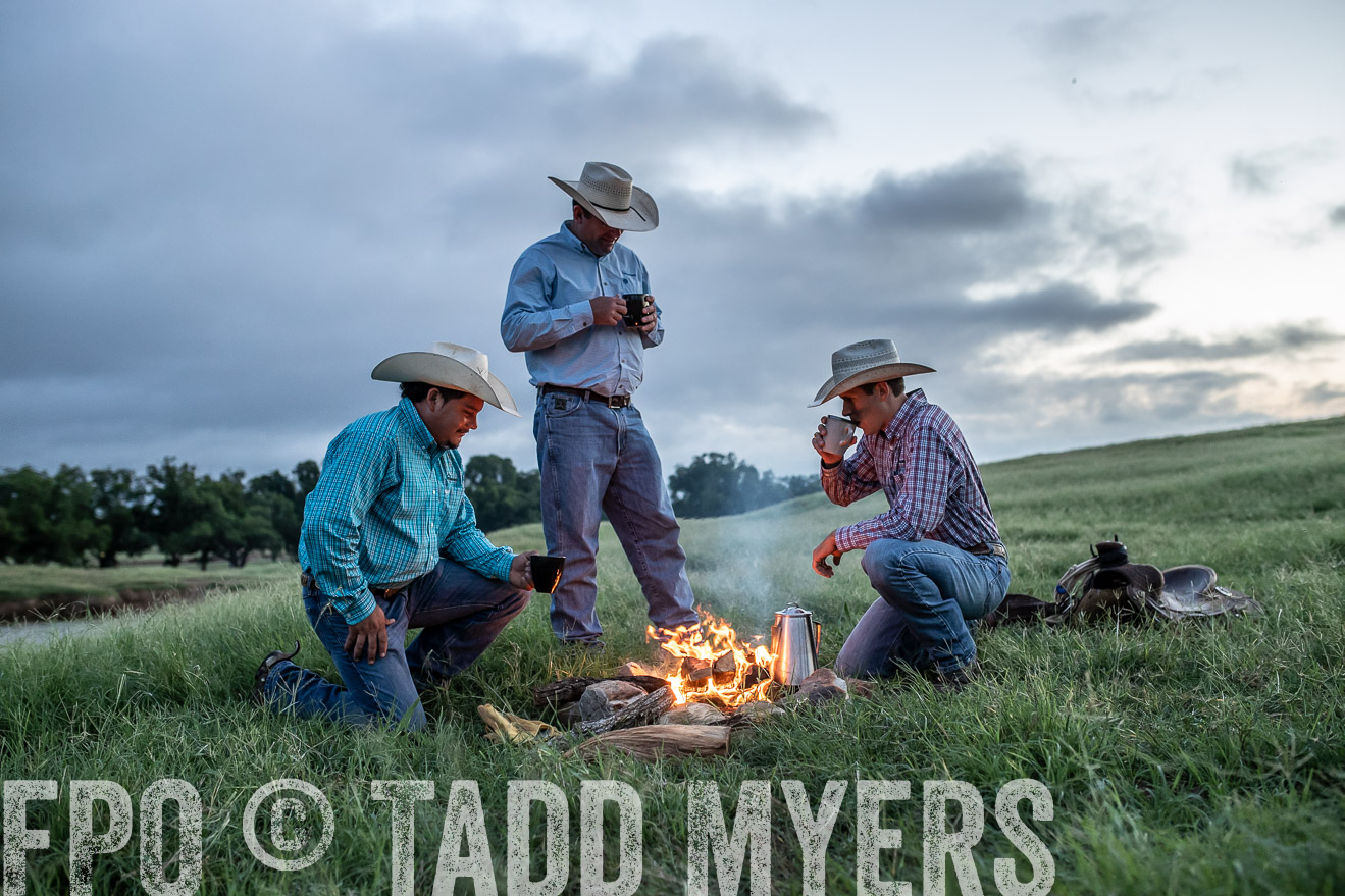 TMyers_44Farms_June2018-3770