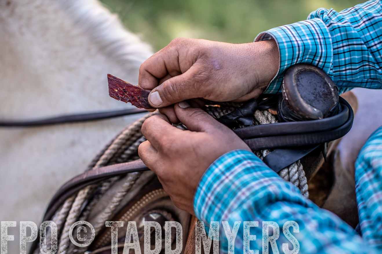TMyers_44Farms_June2018-5729