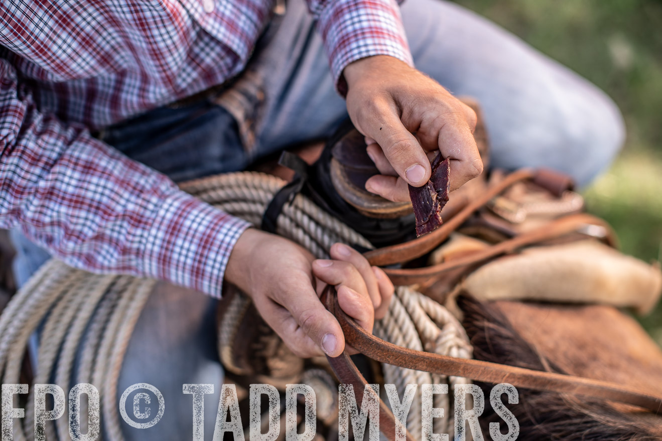 TMyers_44Farms_June2018-5806