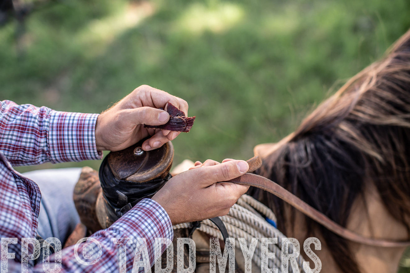 TMyers_44Farms_June2018-5810