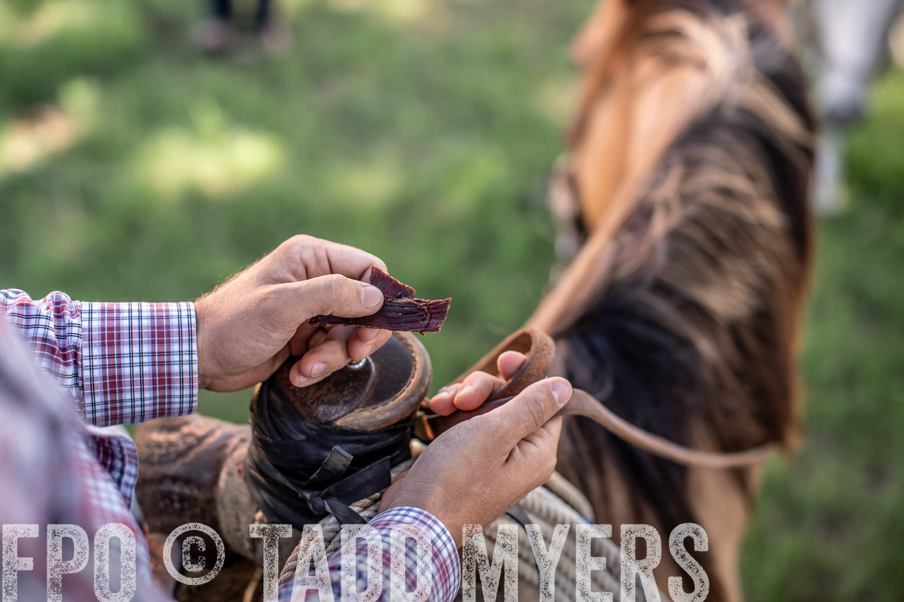 TMyers_44Farms_June2018-5814