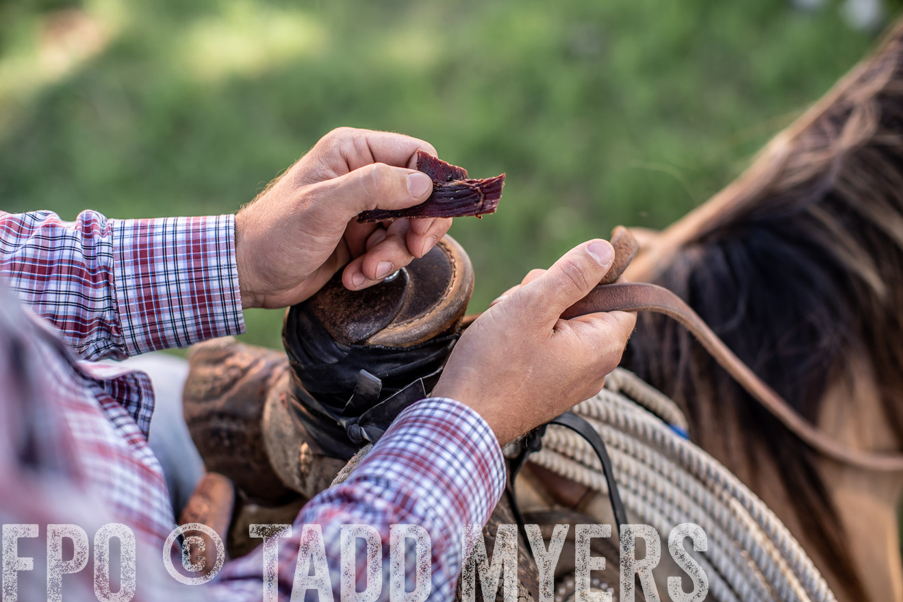 TMyers_44Farms_June2018-5825