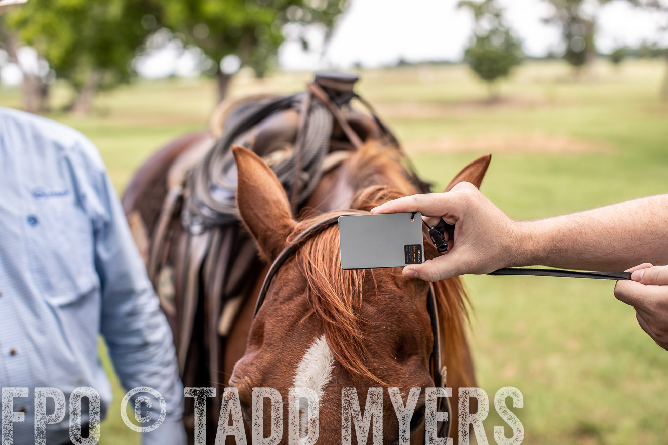 TMyers_44Farms_June2018-6083