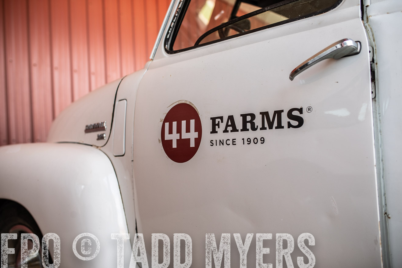 TMyers_44Farms_June2018-9331