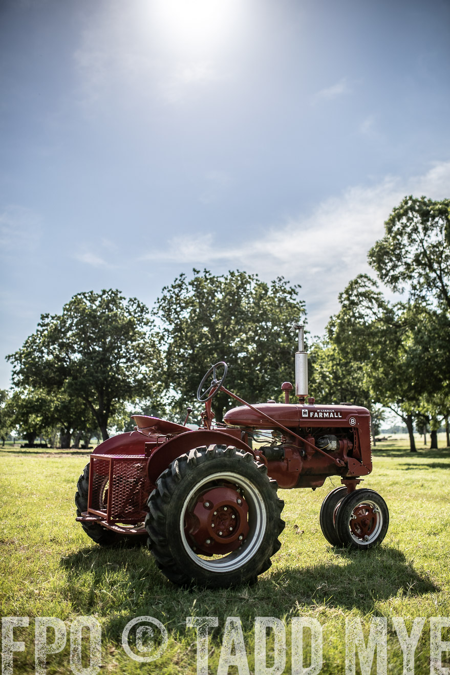 TMyers_44Farms_June2018-0009