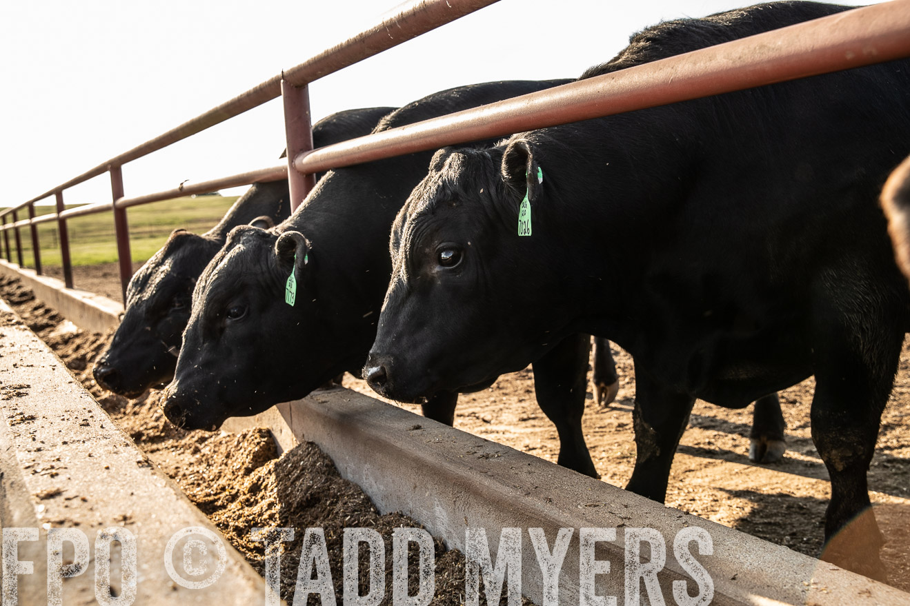 TMyers_44Farms_June2018-2537