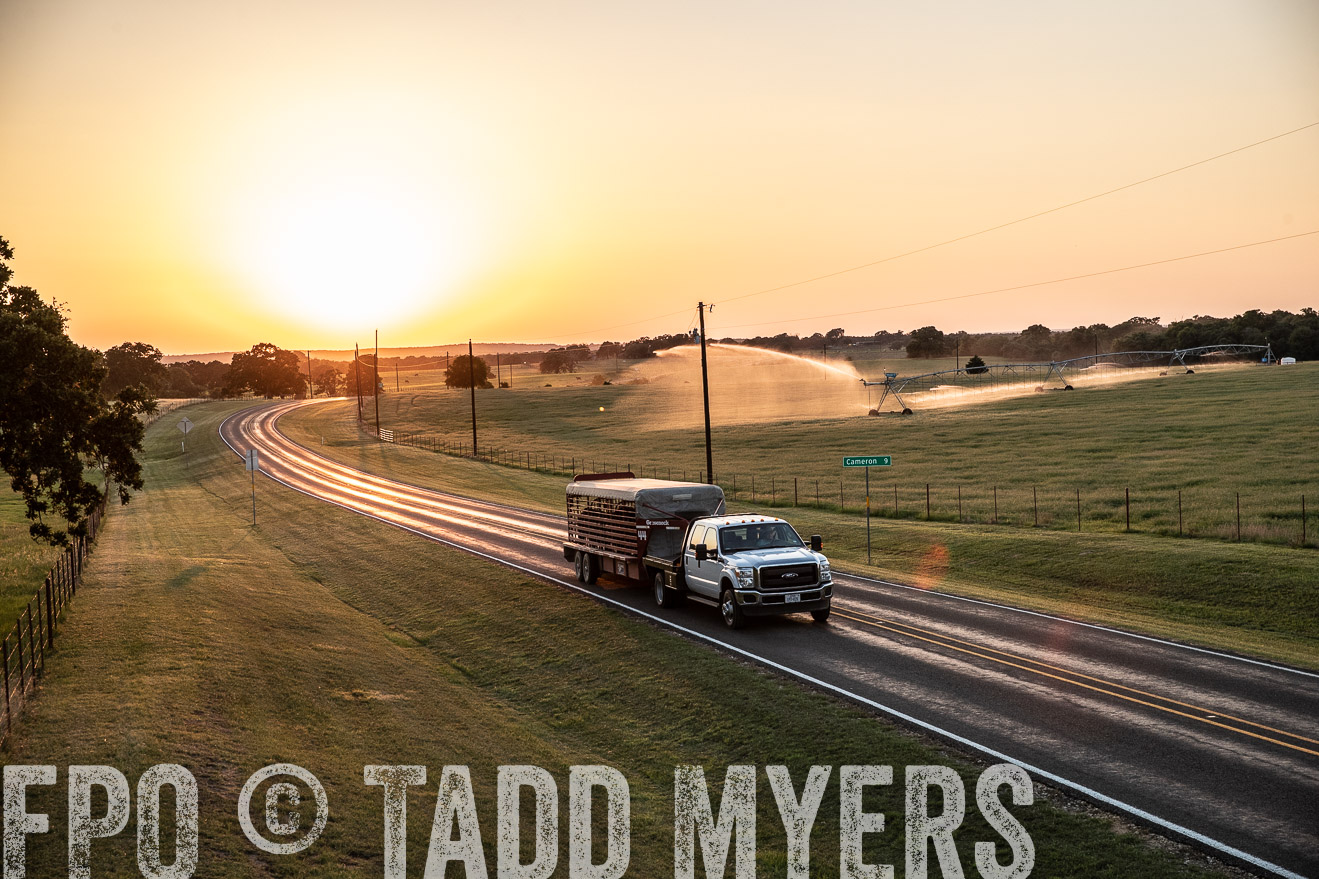 TMyers_44Farms_June2018-3114