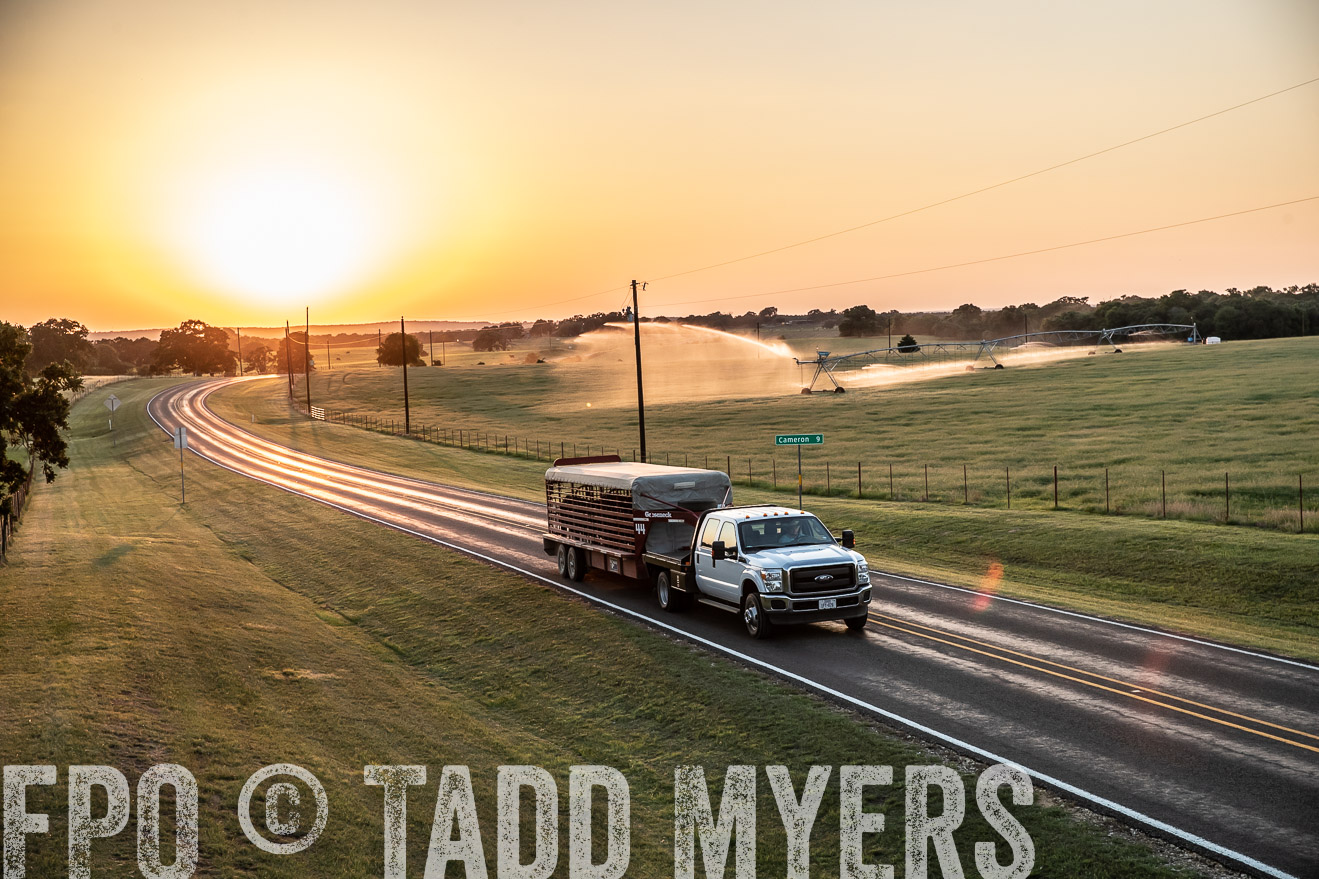 TMyers_44Farms_June2018-3122
