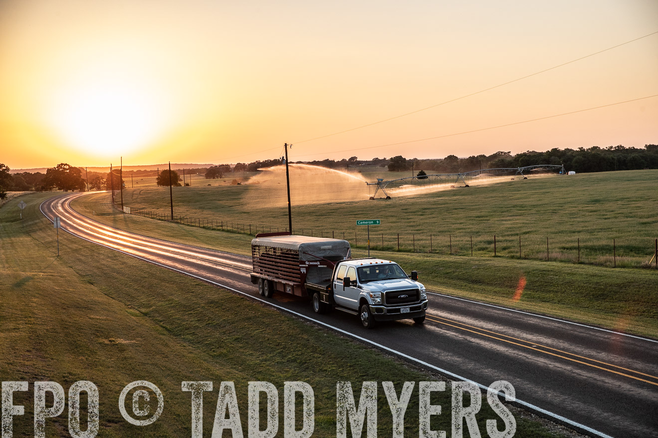 TMyers_44Farms_June2018-3126