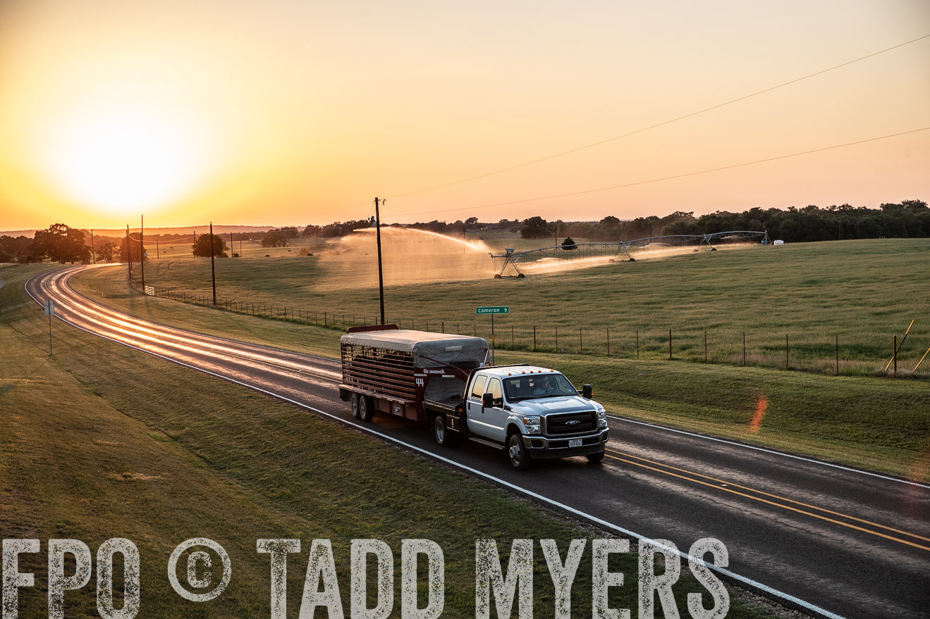 TMyers_44Farms_June2018-3127